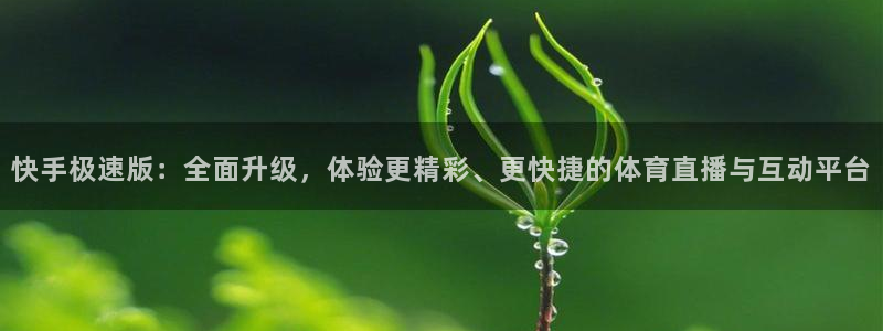 足球直播小九