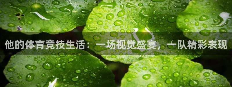 小九直播体育免费直播