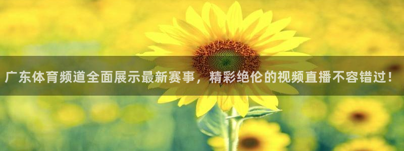 小九直播体育免费观看