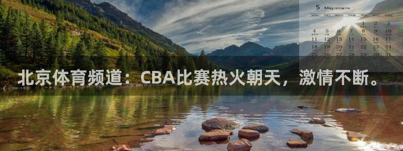 小九直播足球在线观看