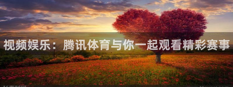 小九直播足球在线直播