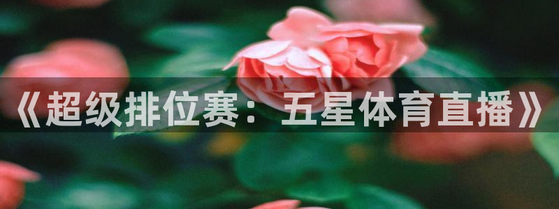 nba直播免费观看直播在线小九