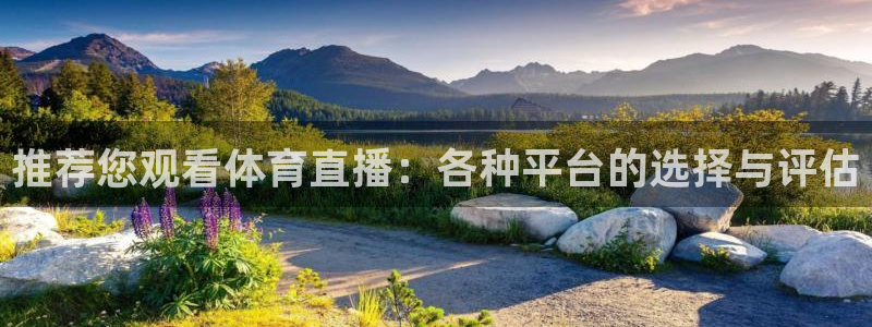 nba直播吧小九直播：推荐您观看体育直播：各种平台的选择与评估