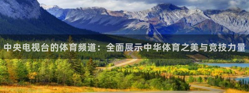 小九直播官方体育下载安装：中央电视台的体育频道：全面展示中华体育之美与竞技力量