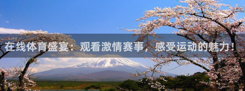 nba小九直播在线观看：在线体育盛宴：观看激情赛事，感受运动的魅力！