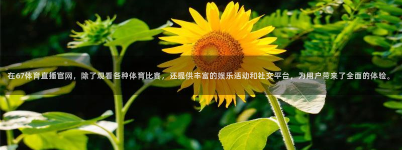 小九直播亚洲世预赛