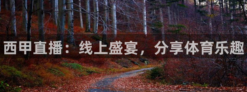 小九直播体育直播平台：西甲直播：线上盛宴，分享体育乐趣